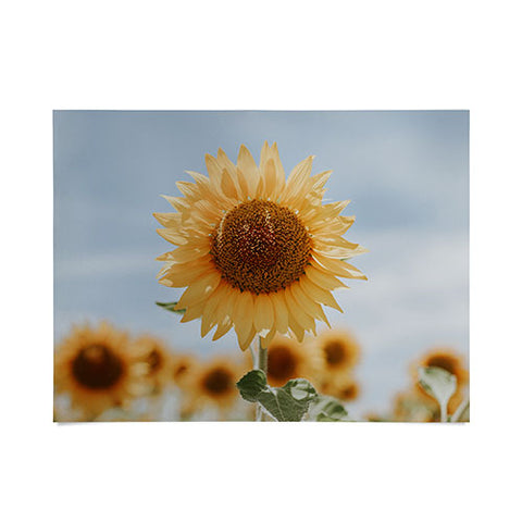 Hello Twiggs Sunflower in Seville Poster