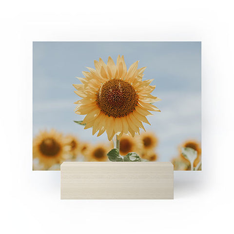 Hello Twiggs Sunflower in Seville Mini Art Print