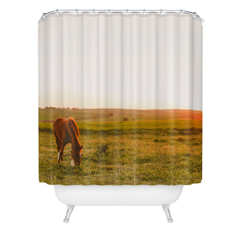 Hello Twiggs Sunset Delight Shower Curtain