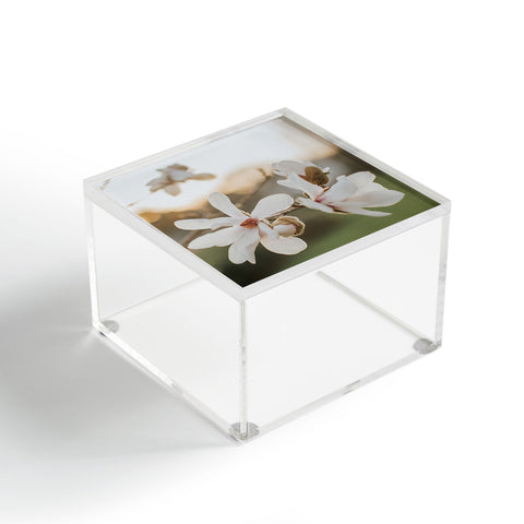 Hello Twiggs Sunset Magnolias Acrylic Box