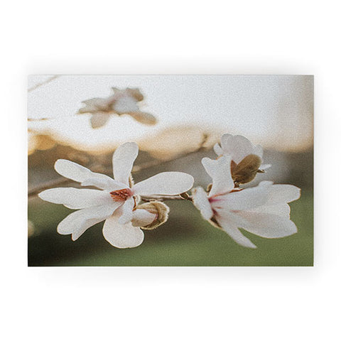 Hello Twiggs Sunset Magnolias Welcome Mat