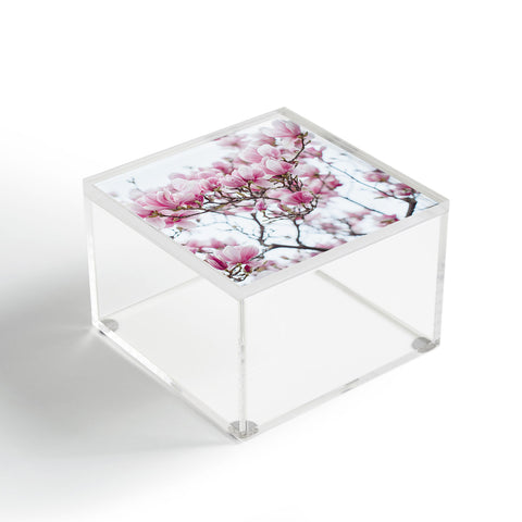 Hello Twiggs Sweet Pink Acrylic Box