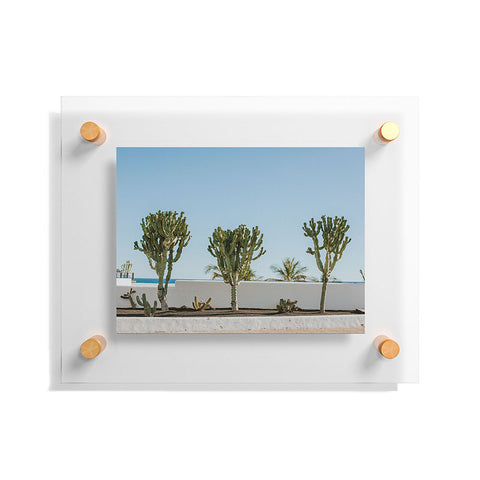 Hello Twiggs Three Cactus Floating Acrylic Print