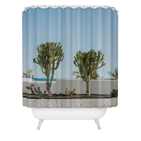 Hello Twiggs Three Cactus Shower Curtain