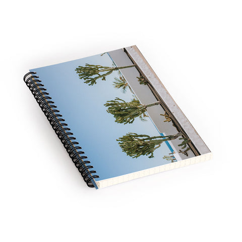 Hello Twiggs Three Cactus Spiral Notebook