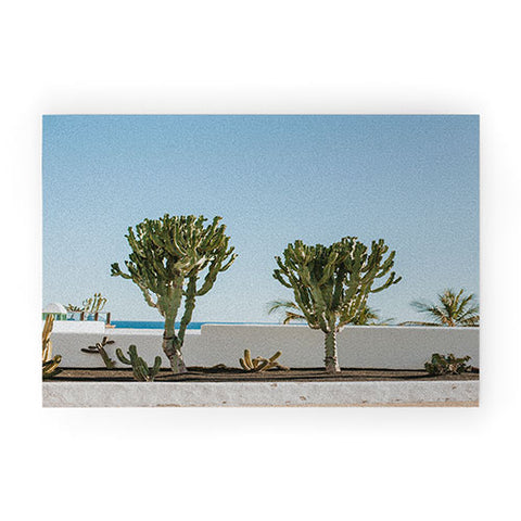 Hello Twiggs Three Cactus Welcome Mat