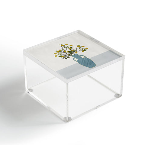 Hello Twiggs Vase with Lemon Tree Branches Acrylic Box