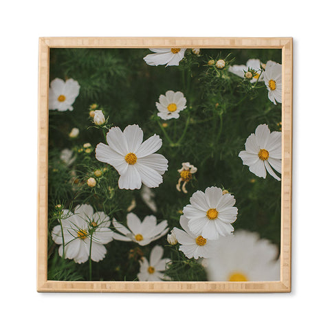 Hello Twiggs White Cosmos Framed Wall Art