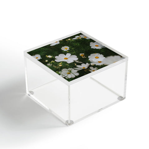 Hello Twiggs White Cosmos Acrylic Box