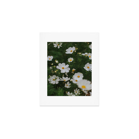 Hello Twiggs White Cosmos Art Print