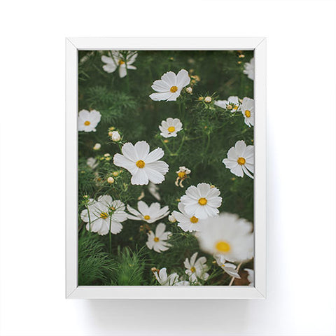 Hello Twiggs White Cosmos Framed Mini Art Print