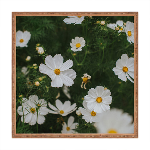 Hello Twiggs White Cosmos Square Tray