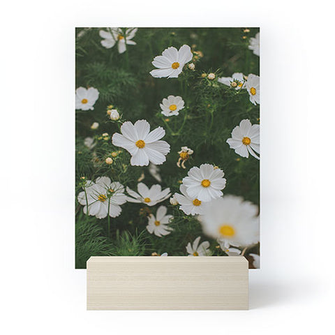 Hello Twiggs White Cosmos Mini Art Print