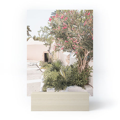 Henrike Schenk - Travel Photography Greece Summer Scenery With Plants Photo White Island Architecture Mini Art Print