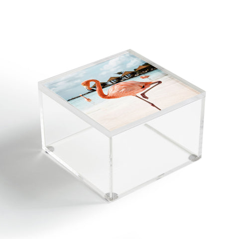Henrike Schenk - Travel Photography Pink Flamingo Beach Photo Aruba Island Tropical Summer Bird Acrylic Box