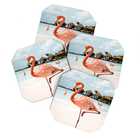 Henrike Schenk - Travel Photography Pink Flamingo Beach Photo Aruba Island Tropical Summer Bird Coaster Set