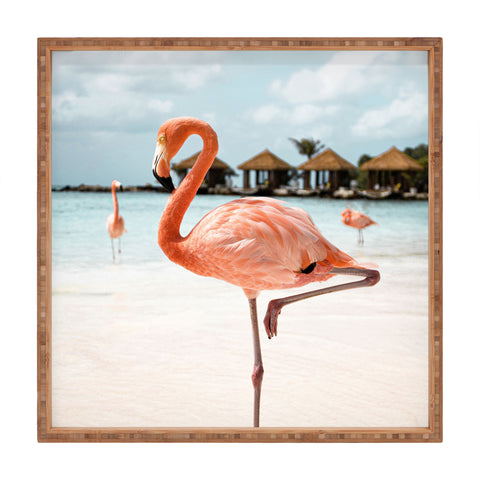 Henrike Schenk - Travel Photography Pink Flamingo Beach Photo Aruba Island Tropical Summer Bird Square Tray