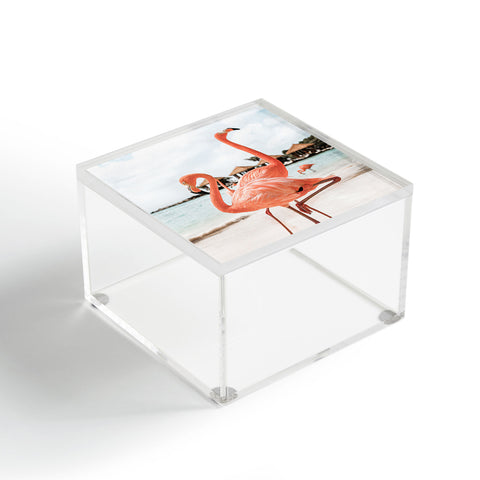 Henrike Schenk - Travel Photography Pink Flamingos On Aruba Island Acrylic Box