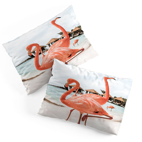 Henrike Schenk - Travel Photography Pink Flamingos On Aruba Island Pillow Shams