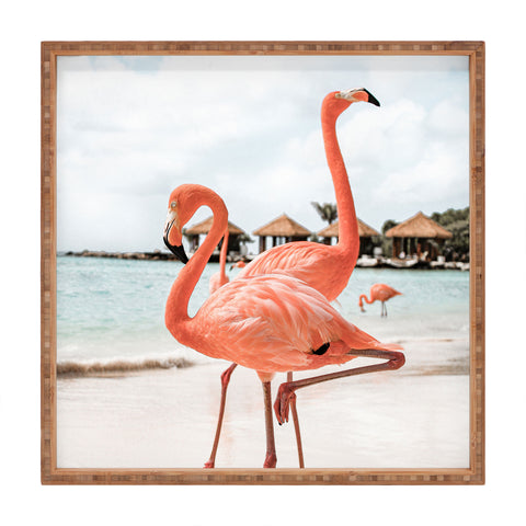 Henrike Schenk - Travel Photography Pink Flamingos On Aruba Island Square Tray
