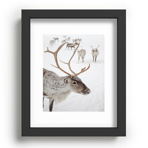 Henrike Schenk - Travel Photography Reindeer With Antlers Art Print Tromso Norway Animal Snow Photo Recessed Framing Rectangle