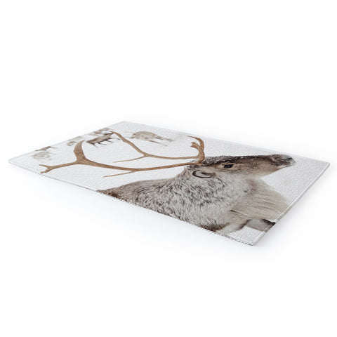 Henrike Schenk - Travel Photography Reindeer With Antlers Art Print Tromso Norway Animal Snow Photo Area Rug
