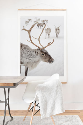 Henrike Schenk - Travel Photography Reindeer With Antlers Art Print Tromso Norway Animal Snow Photo Art Print And Hanger