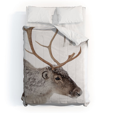 Henrike Schenk - Travel Photography Reindeer With Antlers Art Print Tromso Norway Animal Snow Photo Comforter