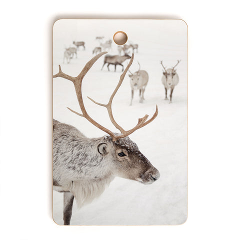 Henrike Schenk - Travel Photography Reindeer With Antlers Art Print Tromso Norway Animal Snow Photo Cutting Board Rectangle