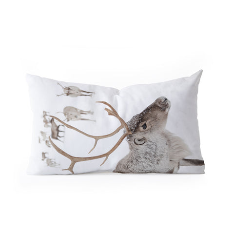 Henrike Schenk - Travel Photography Reindeer With Antlers Art Print Tromso Norway Animal Snow Photo Oblong Throw Pillow