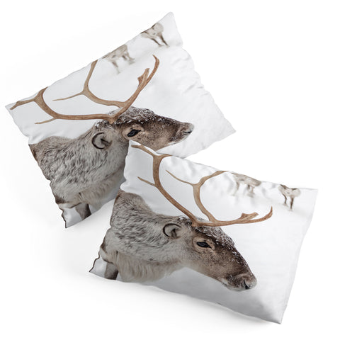 Henrike Schenk - Travel Photography Reindeer With Antlers Art Print Tromso Norway Animal Snow Photo Pillow Shams