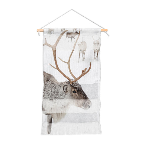 Henrike Schenk - Travel Photography Reindeer With Antlers Art Print Tromso Norway Animal Snow Photo Wall Hanging Portrait