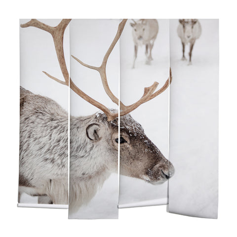 Henrike Schenk - Travel Photography Reindeer With Antlers Art Print Tromso Norway Animal Snow Photo Wall Mural