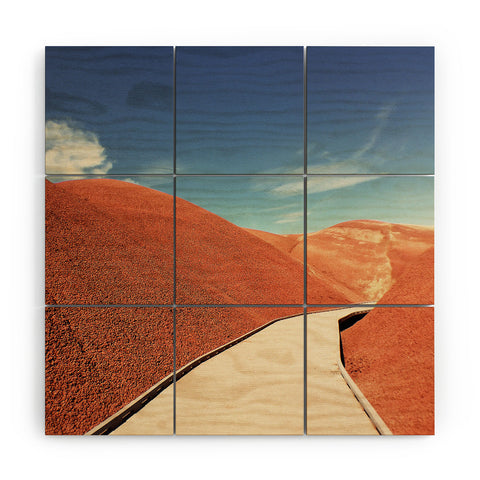 Hillary Murphy Painted Hills Wood Wall Mural