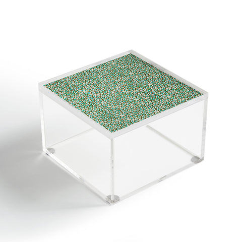 Holli Zollinger BAHA Acrylic Box