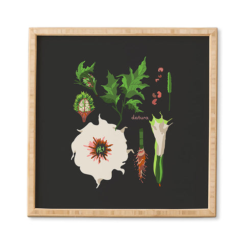 Holli Zollinger DESERT BOTANICAL DATURA Framed Wall Art