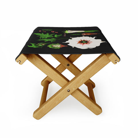 Holli Zollinger DESERT BOTANICAL DATURA Folding Stool