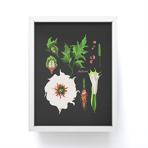 Holli Zollinger DESERT BOTANICAL DATURA Framed Mini Art Print