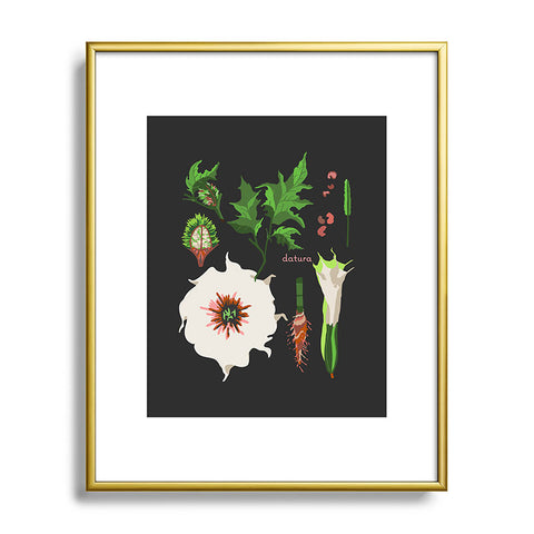 Holli Zollinger DESERT BOTANICAL DATURA Metal Framed Art Print