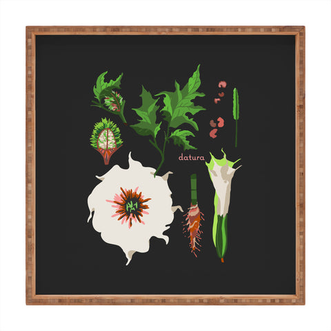 Holli Zollinger DESERT BOTANICAL DATURA Square Tray