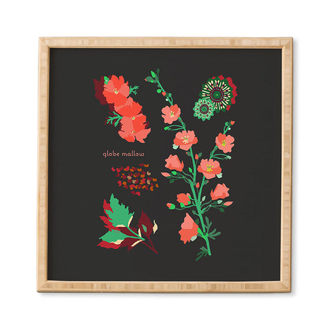 Holli Zollinger DESERT BOTANICAL GLOBE MALLOW Framed Wall Art