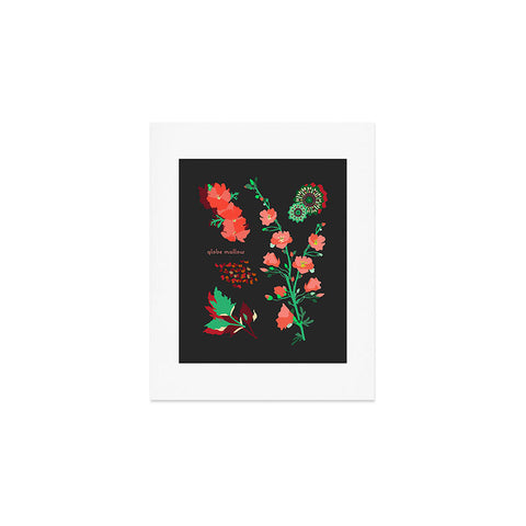 Holli Zollinger DESERT BOTANICAL GLOBE MALLOW Art Print