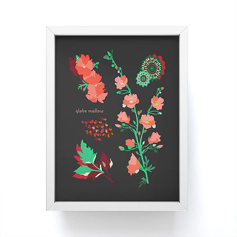 Holli Zollinger DESERT BOTANICAL GLOBE MALLOW Framed Mini Art Print