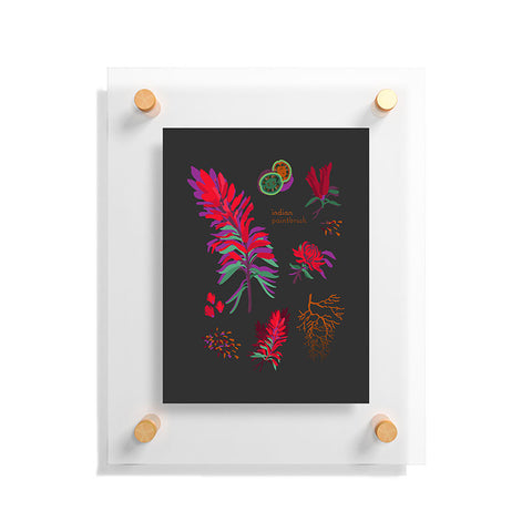 Holli Zollinger DESERT BOTANICAL INDIAN PAINTBRUSH Floating Acrylic Print