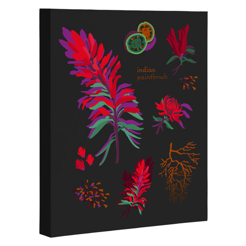 Holli Zollinger DESERT BOTANICAL INDIAN PAINTBRUSH Art Canvas