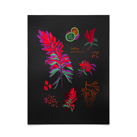 Holli Zollinger DESERT BOTANICAL INDIAN PAINTBRUSH Poster