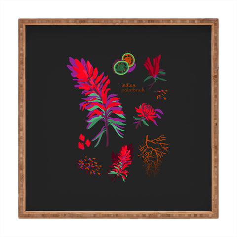 Holli Zollinger DESERT BOTANICAL INDIAN PAINTBRUSH Square Tray