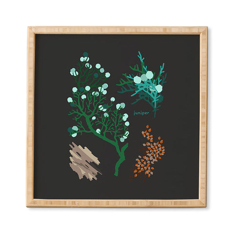 Holli Zollinger DESERT BOTANICAL JUNIPER Framed Wall Art