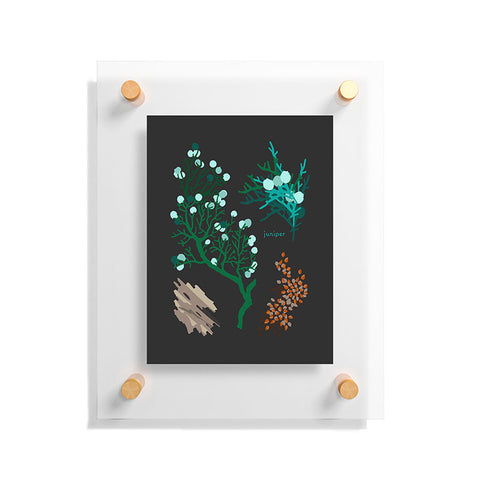 Holli Zollinger DESERT BOTANICAL JUNIPER Floating Acrylic Print
