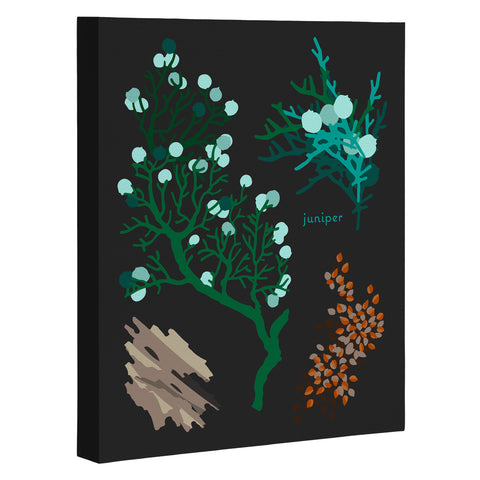 Holli Zollinger DESERT BOTANICAL JUNIPER Art Canvas